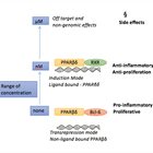 PPARβδ control of inflammation