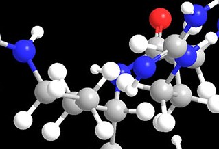 Molecular 3D model.  Red, blue and white interlinked spheres against a black background in banner for Centre for Stress and Age-Related Disease