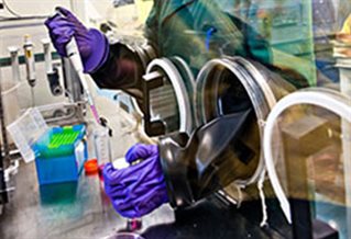 Scientist's purple gloved hands reaching through holes in a clear plastic wall with a pipette - image to illustrate the STRAND study-with-us page