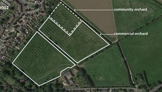 Aerial view of green land next to urban space with white shapes drawn and labelled to show where community orchard developments will be. Image from research into continuous productive development.
