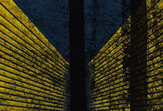 Artwork of stylised receding lines and black vertical stripes tree silhouettes on a perspective of fencing.