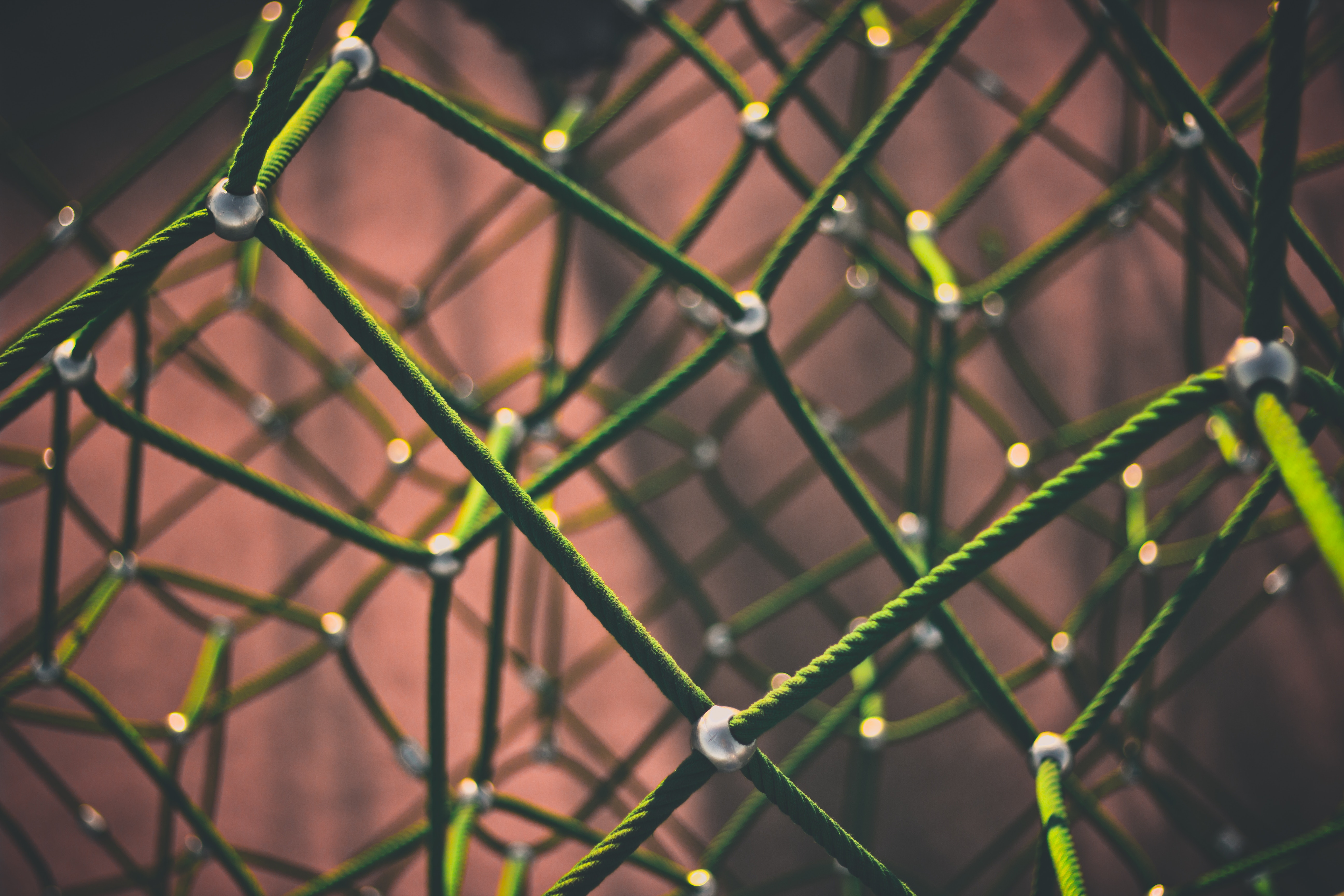 Applied Data Analytics REG image credit Clint Adair on Unsplash
