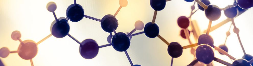 Model of cell molecular structure