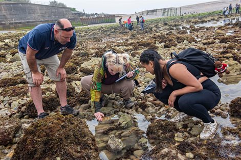 Three students looking at a rock pool