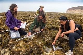 Coastal field trip students