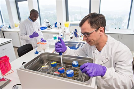 Student testing samples in lab