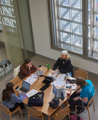 Students studying together in Elm House