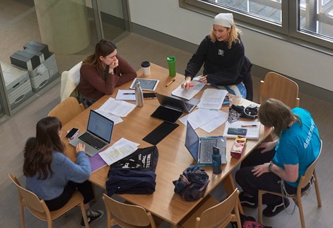 Students studying together in Elm House