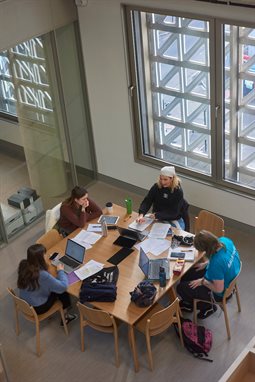 Students studying together in Elm House