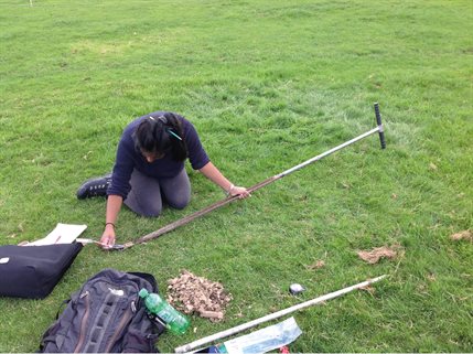 Researcher in the field using equipment