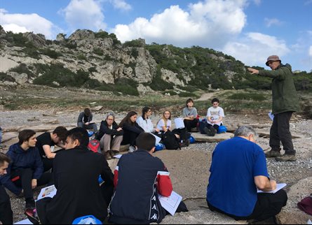 Dissertation environmental management systems