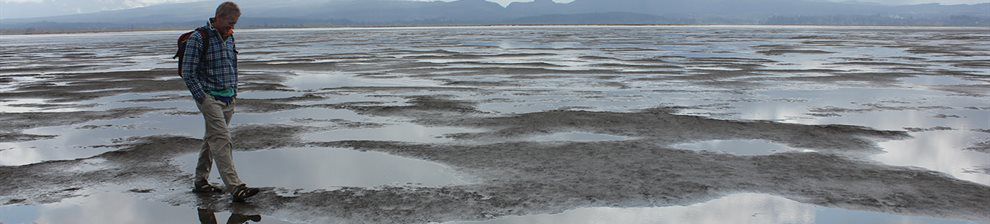 Investigation of coastal sediments. Researcher walks along a shore with pools of shallow water and sediment