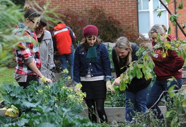 Occupational therapy students studying objects in a garden