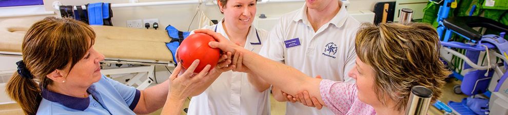 Physiotherapists working with a patient