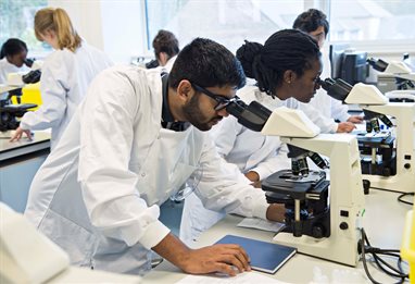 Students looking through electronic microscopes