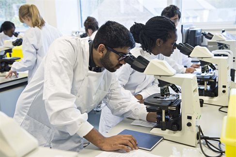 Students using microscopes in the lab