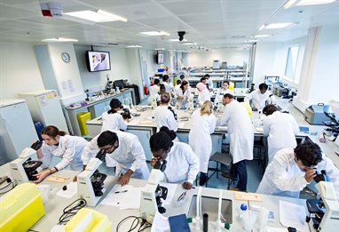 Lots of students in the biomedical lab