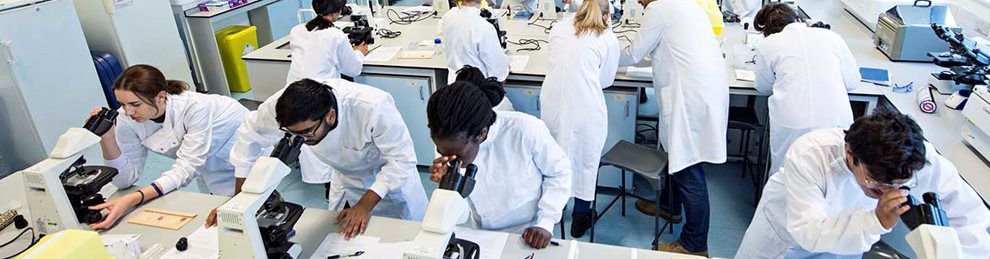 Biological students in lab