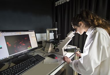 Student in darkened room looking down electronic microscope