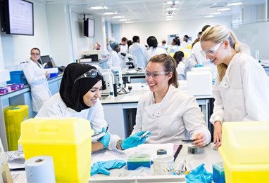 Students working in a biomedical lab