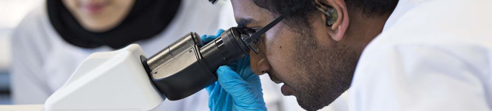 Scientists in laboratory with microscope