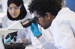 Biomedical Science male student using a microscope