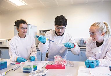 Three students working together in the lab
