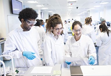 Smiling students conducting a group experiment