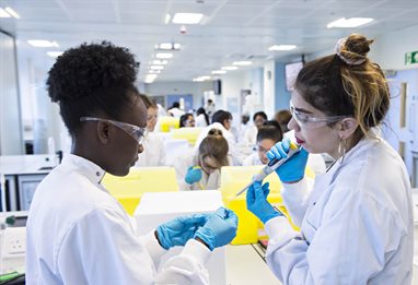 Students helping each other with an experiment in the lab