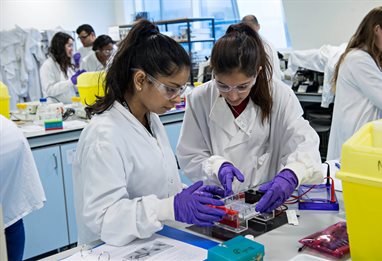 Two lab students cooperating on an experiment