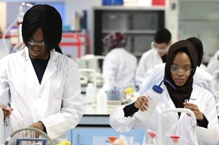 Students working in pharmacy lab 