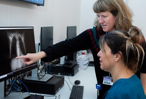 Lecturer pointing to an x-ray image