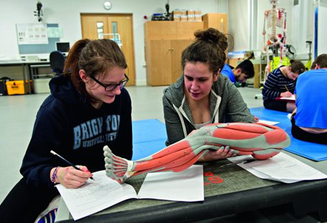 students looking at a model of a leg