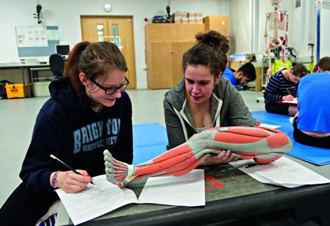 Two students analysing leg muscles