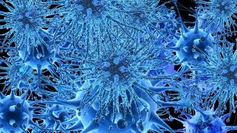 Visual metaphor for the activated immune system, white blood cells representing cancer treatments