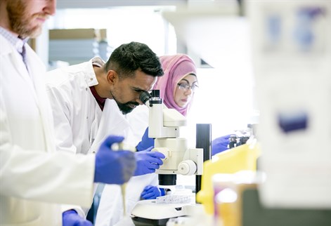 Pharmacologists in lab