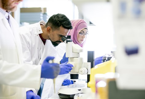 Pharmacologists in lab