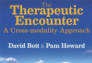 Book cover for The Therapeutic Encounter