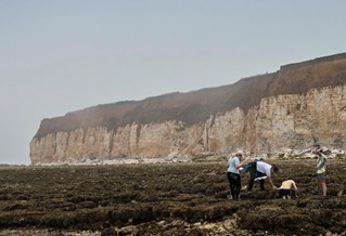 Students on a coastal field trip