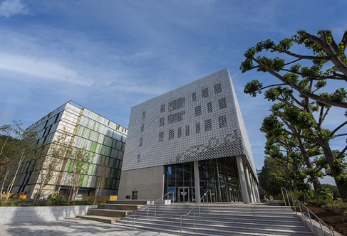 Contemporary white cube buildings with concrete plaza and pollarded trees. University of Brighton's Elm House building housing the School of Business and Law, and the adjacent carpark.