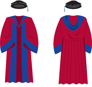 Brighton Doctorate gown