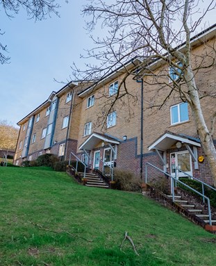 Paddock Fields halls of residence