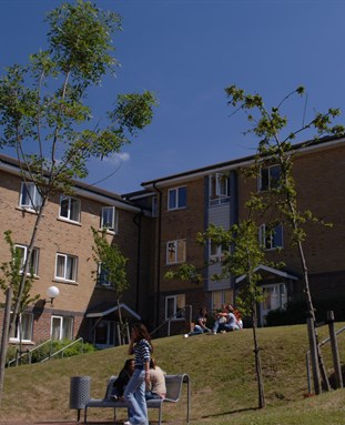 Paddock Field accommodation 
