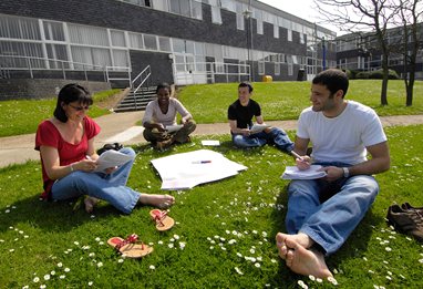 Students on the grass at Falmer campus