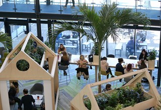 Interior of Checkland Building with lots of plants