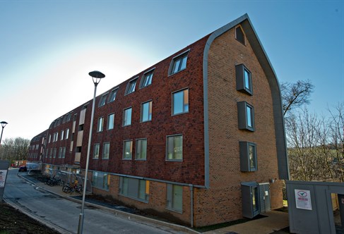 Woodland and Downland halls