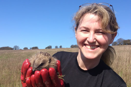 Dr Dawn Scott with a hedgehog returned to the wild