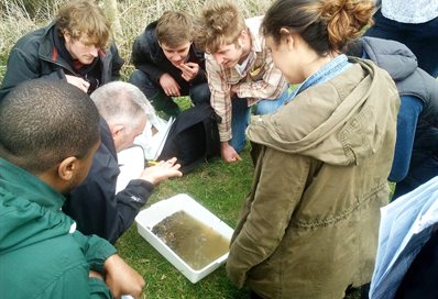 Students studying freshwater biodiversity
