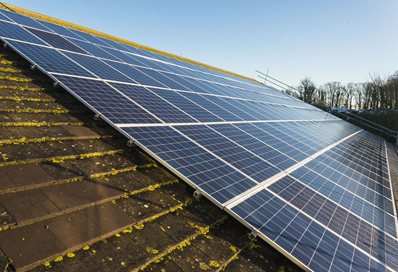 Falmer Solar