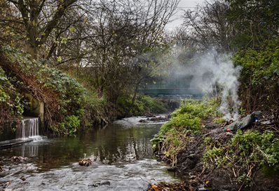 Hogsmill Valley